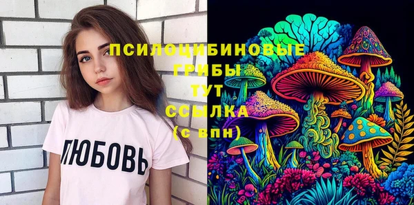 apvp Навашино