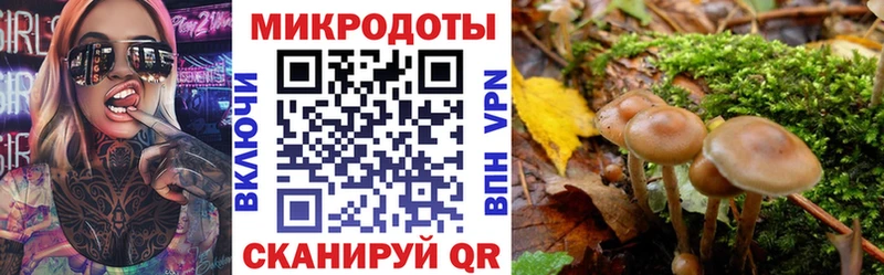 Псилоцибиновые грибы Psilocybine cubensis  Благодарный 