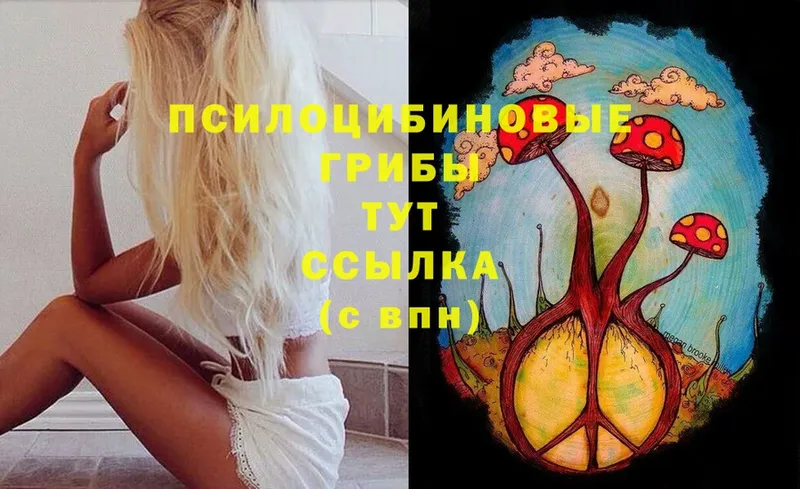 Псилоцибиновые грибы Cubensis  купить закладку  Благодарный 