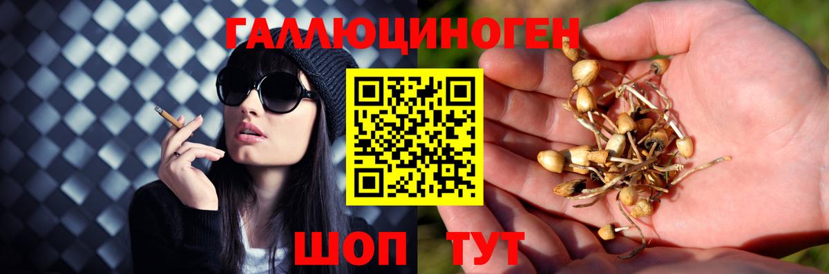 Галлюциногенные грибы прущие грибы  где купить наркоту  Благодарный 